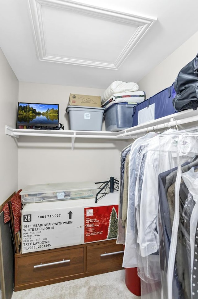 walk in closet with carpet floors