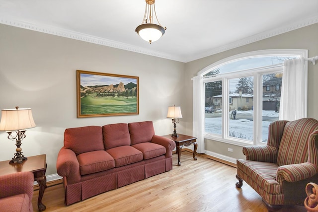 living room with light hardwood / wood-style flooring and crown molding