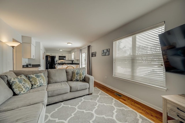 living room featuring light hardwood / wood-style flooring