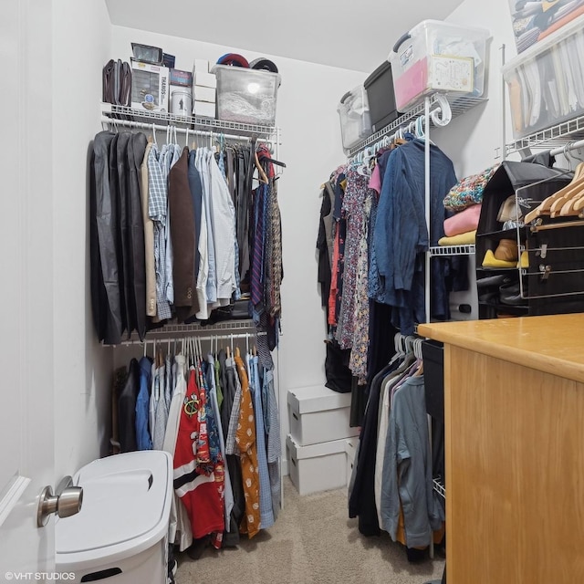 spacious closet with carpet