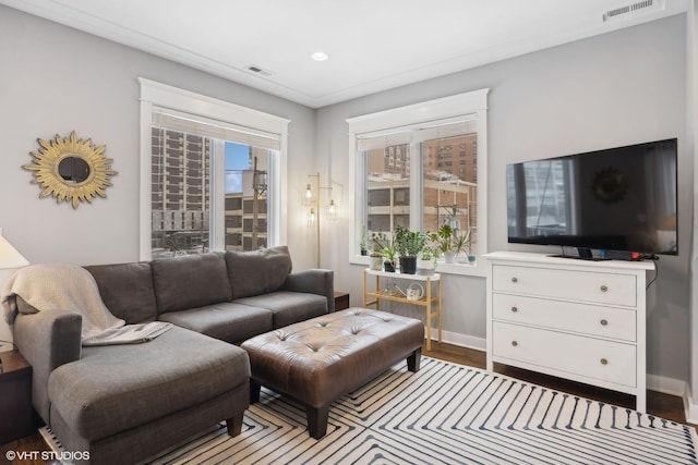 living room with hardwood / wood-style floors