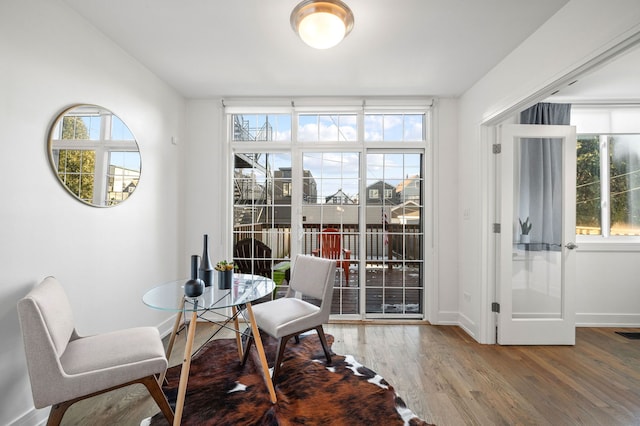 living area featuring hardwood / wood-style floors