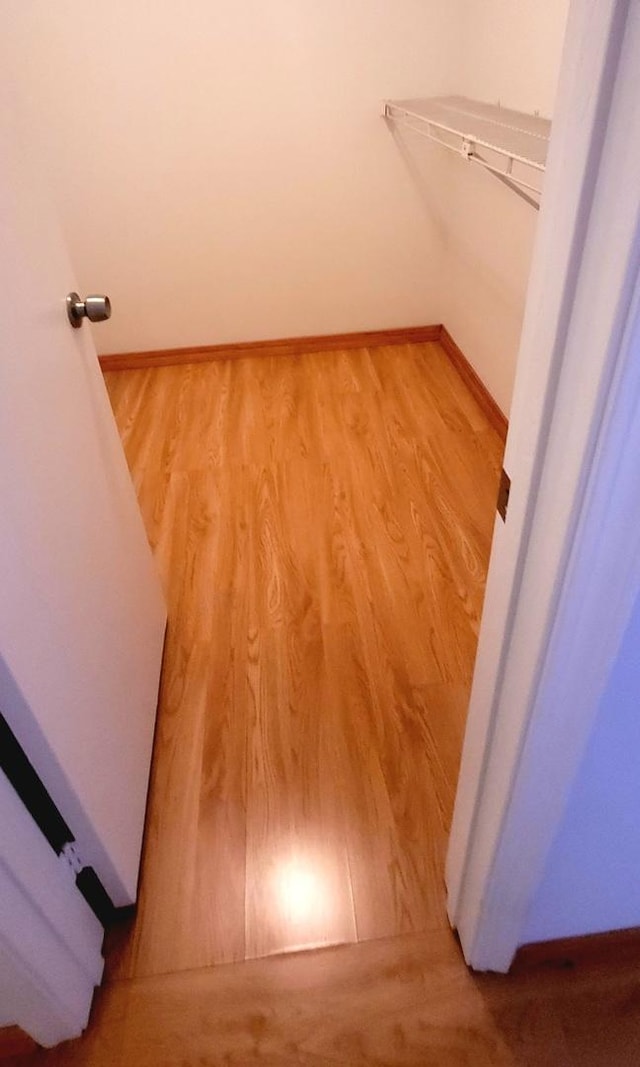 walk in closet with hardwood / wood-style floors