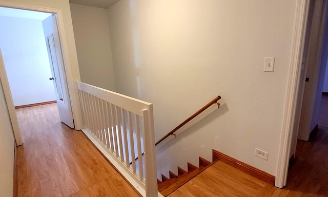 staircase with wood-type flooring