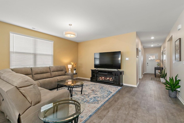 living room with hardwood / wood-style floors