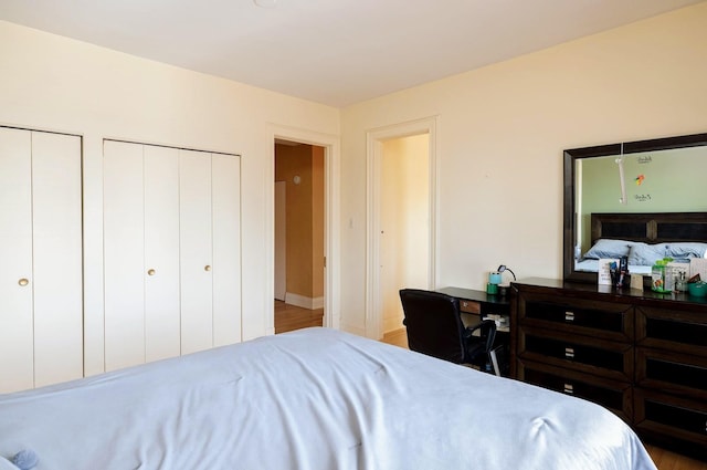 bedroom with wood-type flooring and two closets