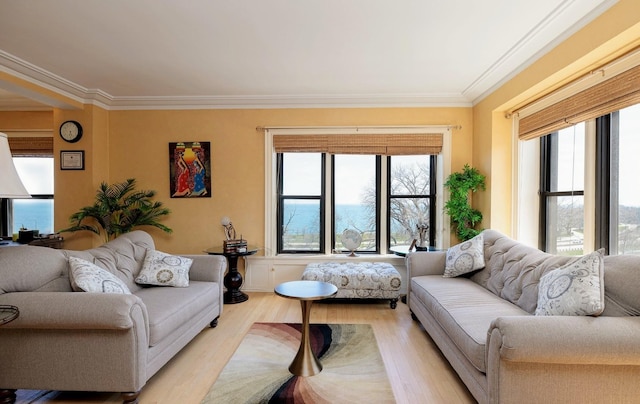 living room with crown molding and light hardwood / wood-style flooring