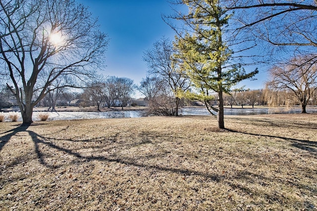 view of yard featuring a water view