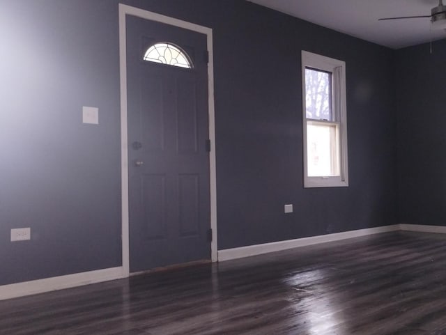 foyer featuring ceiling fan and dark hardwood / wood-style flooring