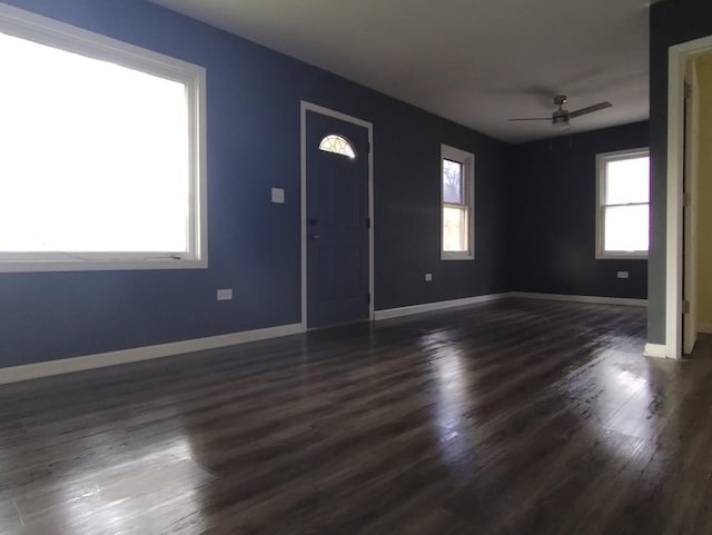 foyer entrance with ceiling fan and dark hardwood / wood-style floors