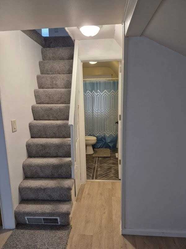 stairway featuring wood-type flooring