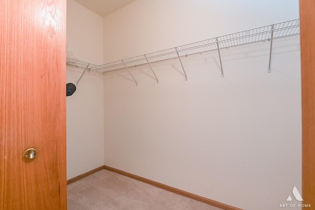 walk in closet featuring light colored carpet