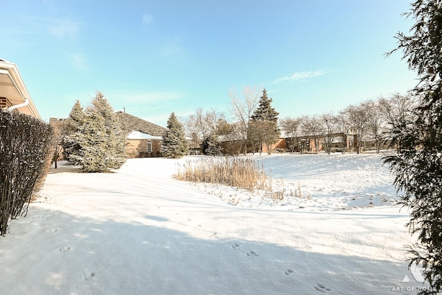 view of yard layered in snow