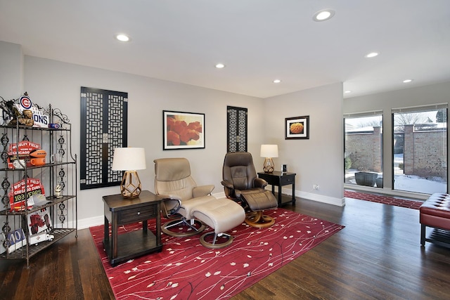 living area featuring dark wood-type flooring