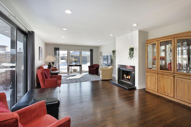 living room with a large fireplace and dark hardwood / wood-style floors