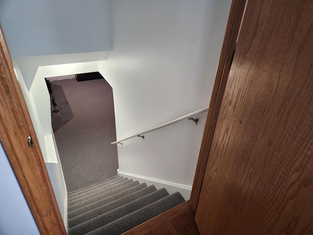 stairway with carpet flooring