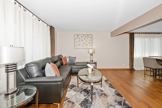 living room featuring light wood-type flooring