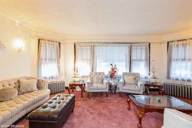 carpeted living room with crown molding and radiator heating unit