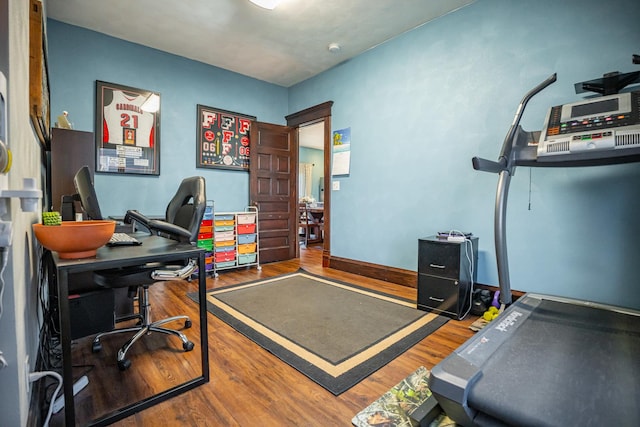 office area featuring hardwood / wood-style floors