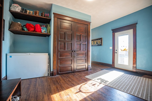 foyer entrance featuring dark hardwood / wood-style floors