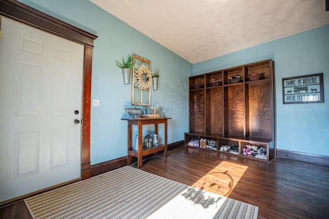 mudroom with wood-type flooring