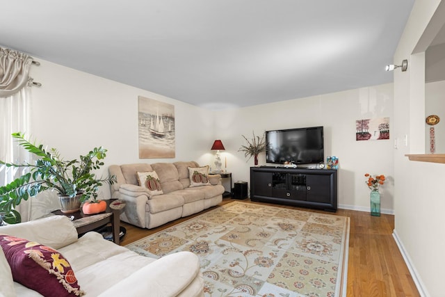 living room featuring hardwood / wood-style flooring