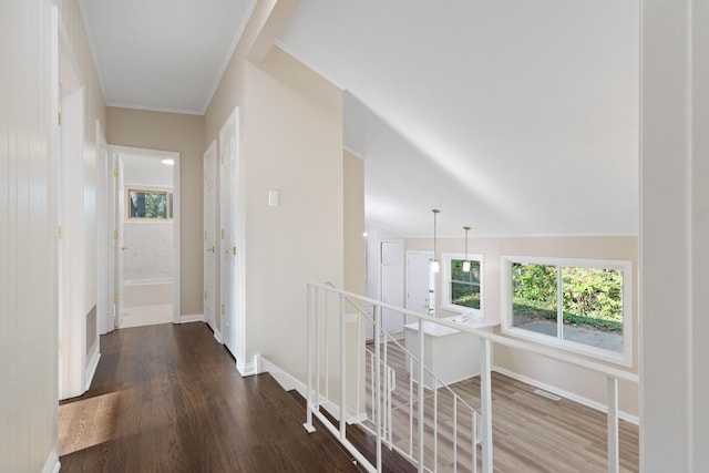 hall with crown molding and dark hardwood / wood-style flooring