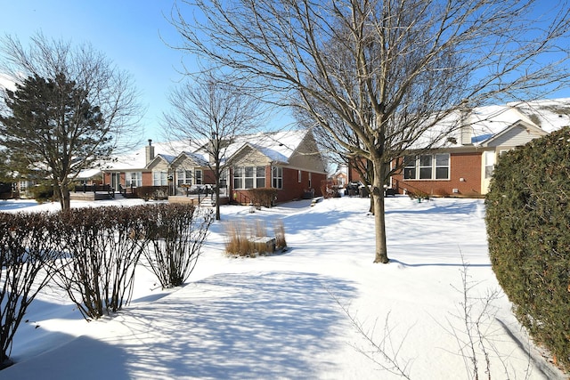 view of yard layered in snow