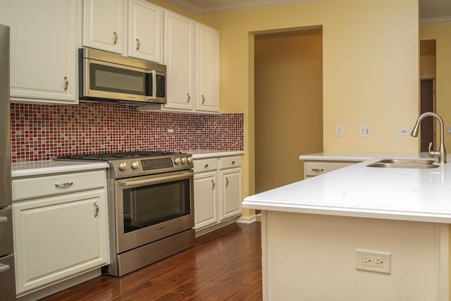 kitchen with sink, stainless steel appliances, dark hardwood / wood-style floors, and ornamental molding