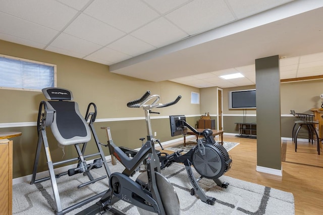 workout area with a paneled ceiling and hardwood / wood-style floors