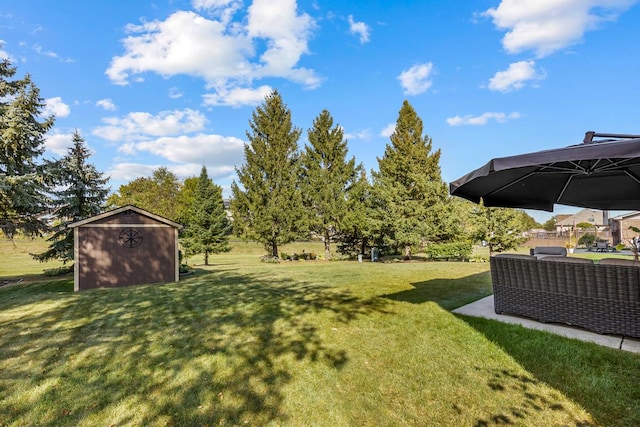 view of yard with a shed