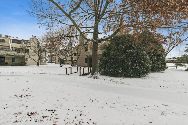 view of yard covered in snow