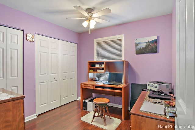 office featuring dark hardwood / wood-style flooring and ceiling fan