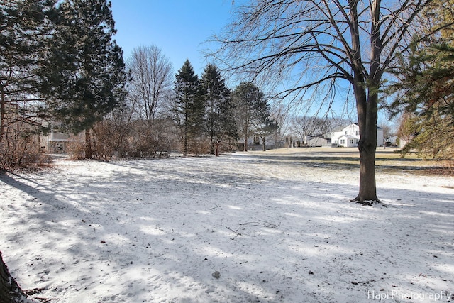 view of snowy yard