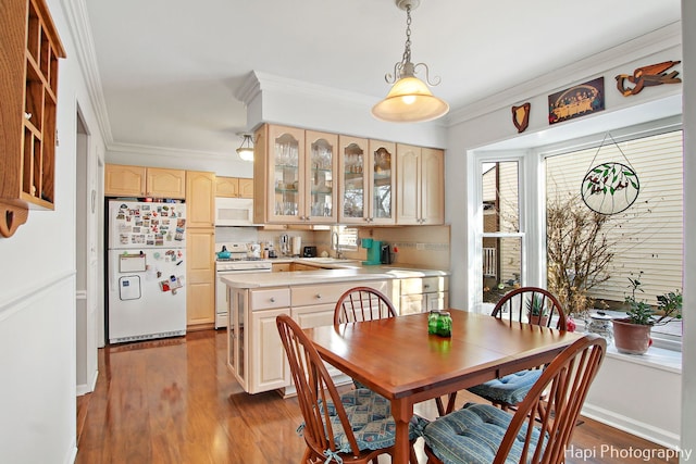 dining room with hardwood / wood-style floors, sink, and crown molding