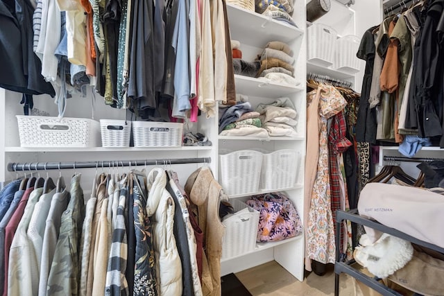 walk in closet featuring wood-type flooring