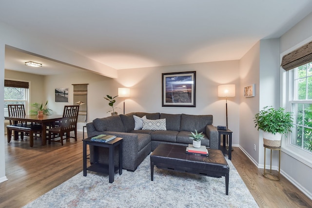 living room with wood-type flooring