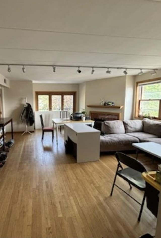 living room with light wood-type flooring and a wealth of natural light