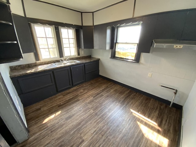 kitchen featuring sink and dark wood-type flooring