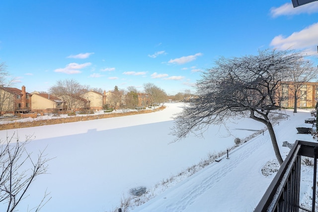 view of yard covered in snow