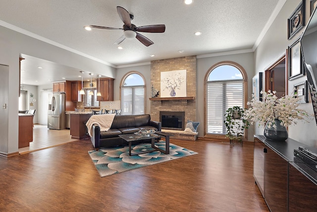 living room with ceiling fan, plenty of natural light, a textured ceiling, and dark hardwood / wood-style flooring