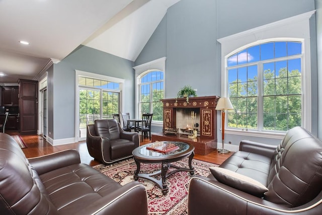 living room with wood-type flooring and high vaulted ceiling