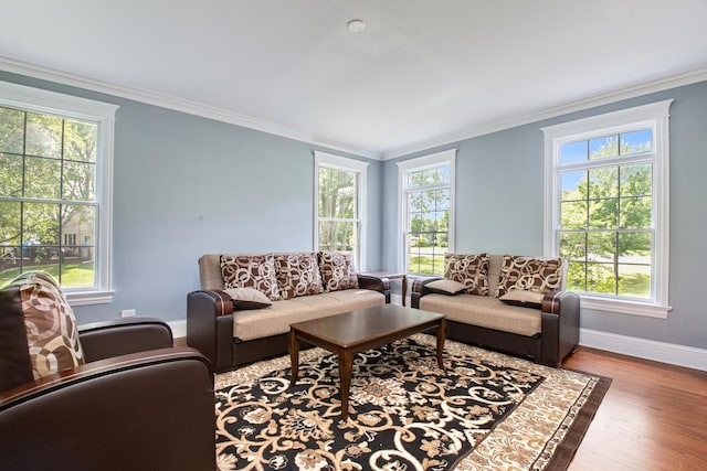 living room with hardwood / wood-style floors, a healthy amount of sunlight, and ornamental molding