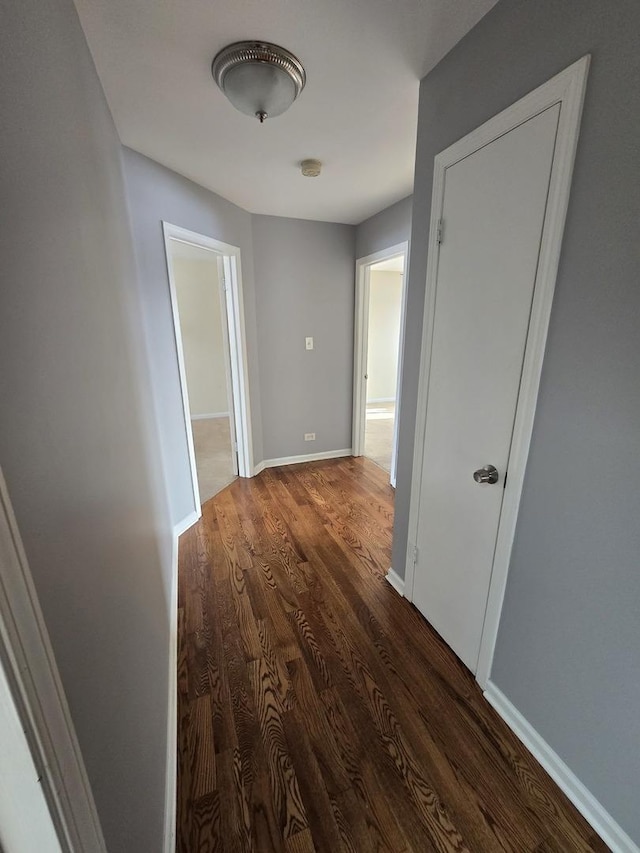 hallway with dark wood-type flooring