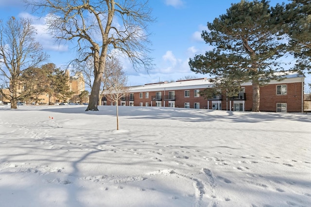 view of snowy yard