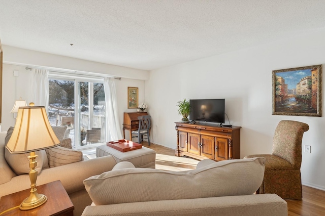 living room with a textured ceiling and light hardwood / wood-style flooring