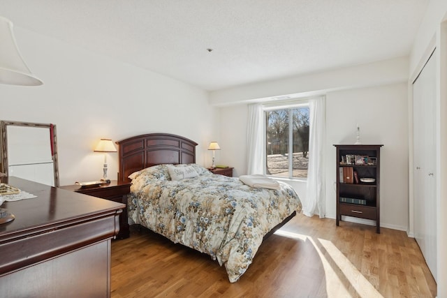 bedroom featuring a closet and wood-type flooring