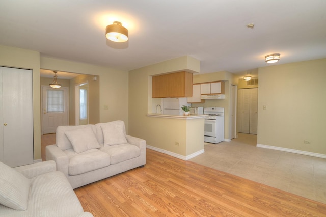 living room featuring sink and light hardwood / wood-style floors