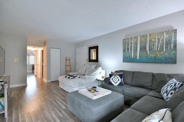 living room featuring hardwood / wood-style flooring