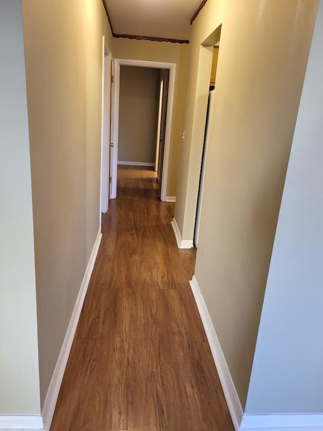 hall with dark wood-type flooring